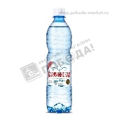 Вода минеральная "Карачинская" газ. 0,5л пэт